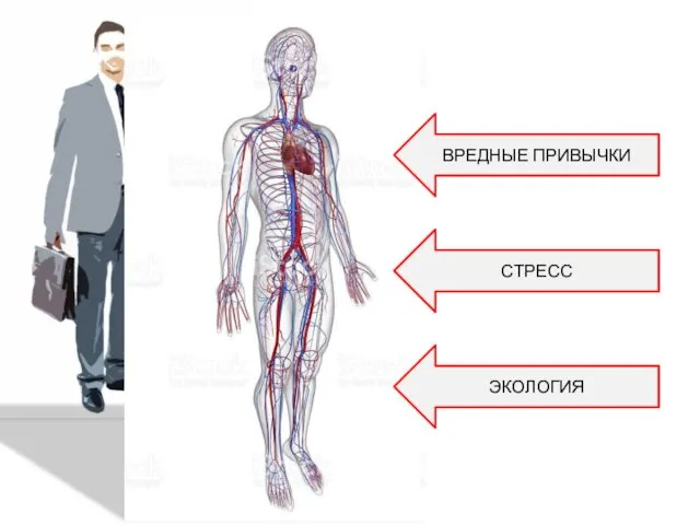 ВРЕДНЫЕ ПРИВЫЧКИ СТРЕСС ЭКОЛОГИЯ