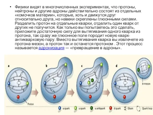 Физики видят в многочисленных экспериментах, что протоны, нейтроны и другие