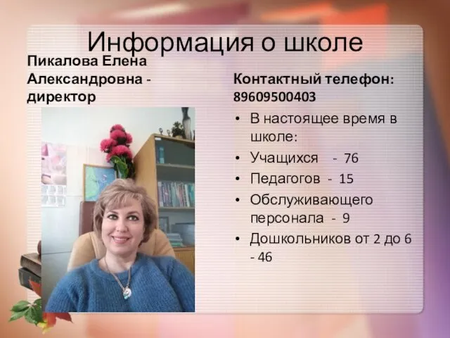 Информация о школе Пикалова Елена Александровна - директор Контактный телефон: