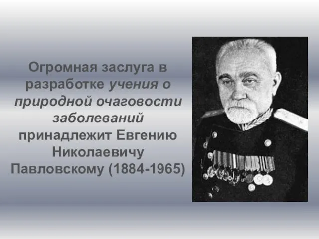 Огромная заслуга в разработке учения о природной очаговости заболеваний принадлежит Евгению Николаевичу Павловскому (1884-1965)