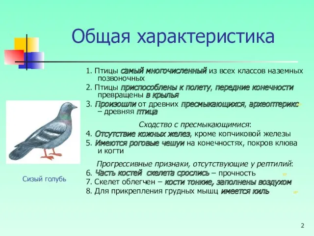 Общая характеристика 1. Птицы самый многочисленный из всех классов наземных