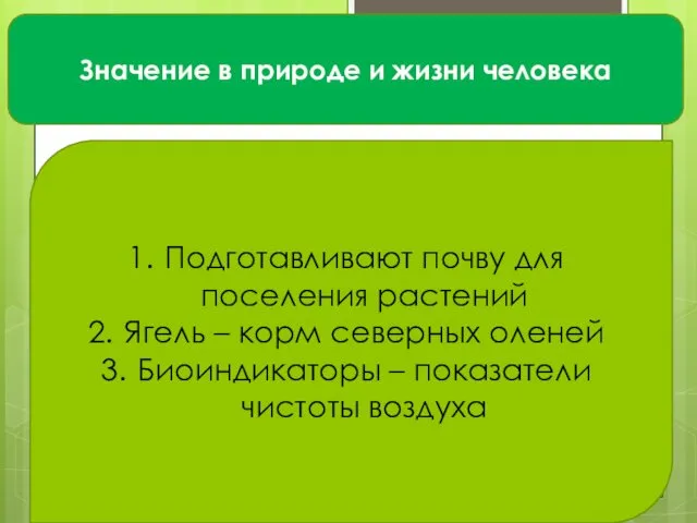 Значение в природе и жизни человека Подготавливают почву для поселения