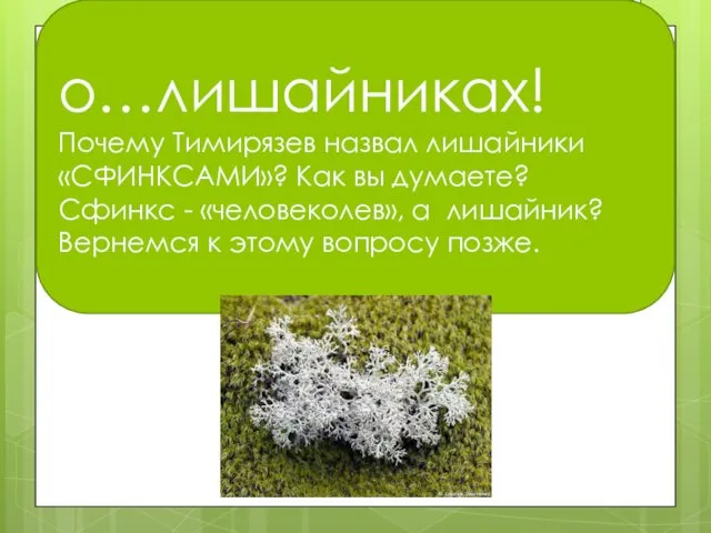 о…лишайниках! Почему Тимирязев назвал лишайники «СФИНКСАМИ»? Как вы думаете? Сфинкс - «человеколев», а