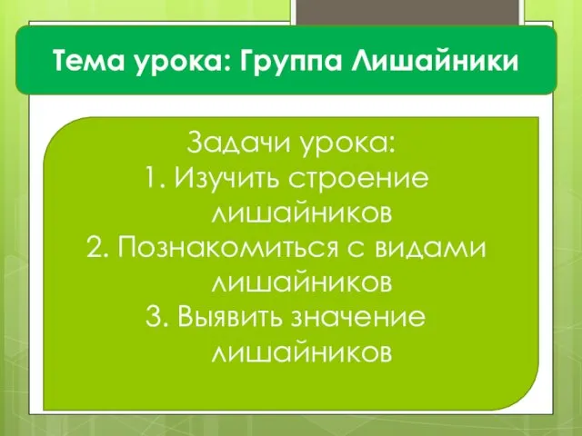 Тема урока: Группа Лишайники Задачи урока: Изучить строение лишайников Познакомиться с видами лишайников Выявить значение лишайников