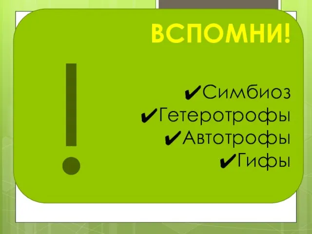 ВСПОМНИ! Симбиоз Гетеротрофы Автотрофы Гифы !