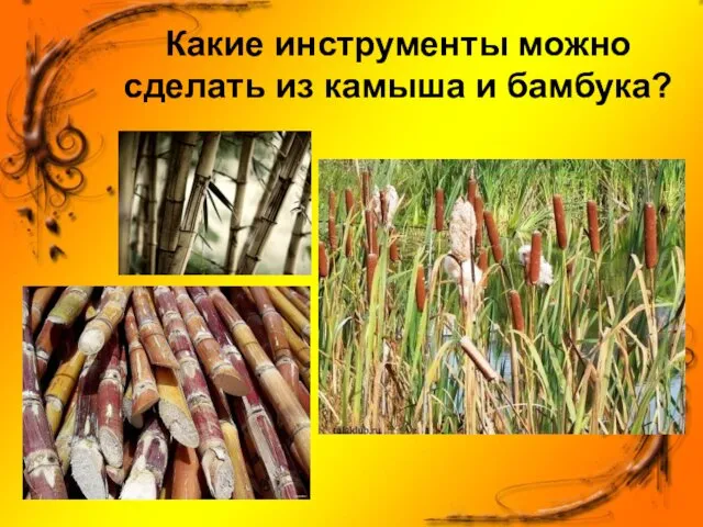 Какие инструменты можно сделать из камыша и бамбука?