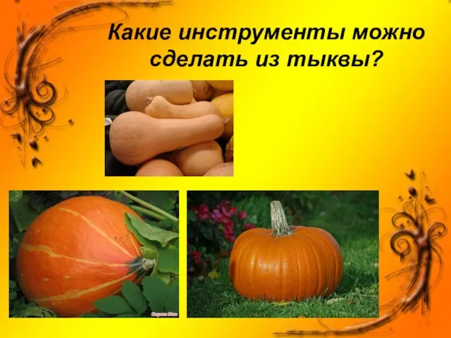 Какие инструменты можно сделать из тыквы?