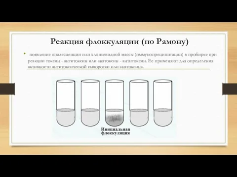 Реакция флоккуляции (по Рамону) появление опалесценции или хлопьевидной массы (иммунопреципитации)