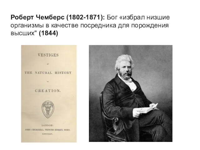 Роберт Чемберс (1802-1871): Бог «избрал низшие организмы в качестве посредника для порождения высших" (1844)