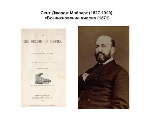 Сент-Джордж Майварт (1827-1900): «Возникновение видов» (1871)