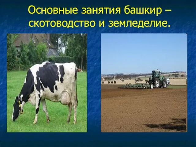 Основные занятия башкир –скотоводство и земледелие.