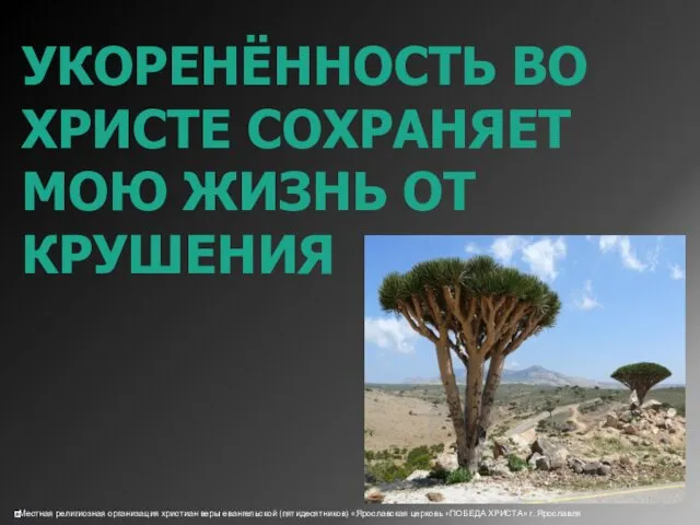 УКОРЕНЁННОСТЬ ВО ХРИСТЕ СОХРАНЯЕТ МОЮ ЖИЗНЬ ОТ КРУШЕНИЯ