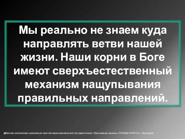 Мы реально не знаем куда направлять ветви нашей жизни. Наши