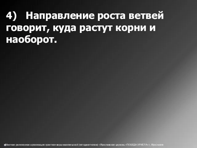 4) Направление роста ветвей говорит, куда растут корни и наоборот.