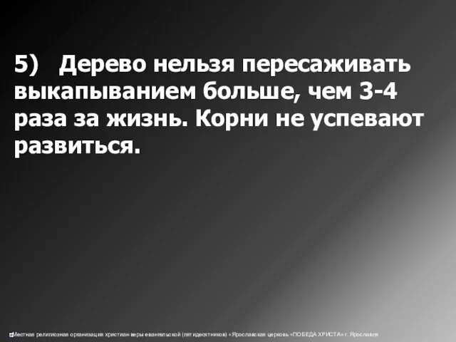 5) Дерево нельзя пересаживать выкапыванием больше, чем 3-4 раза за жизнь. Корни не успевают развиться.