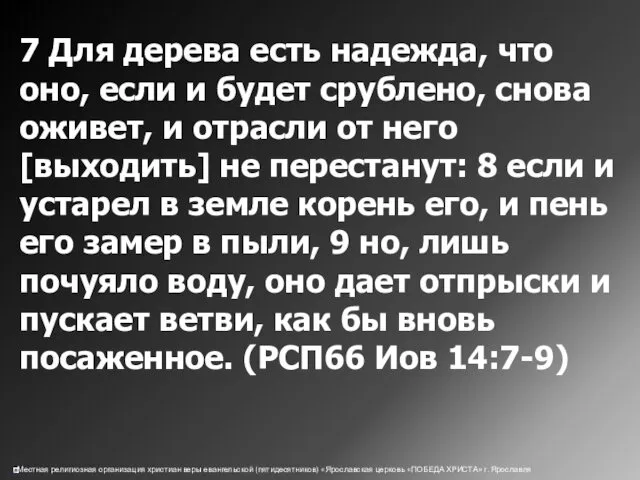 7 Для дерева есть надежда, что оно, если и будет