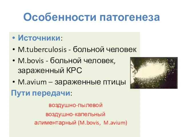 Особенности патогенеза Источники: M.tuberculosis - больной человек M.bovis - больной