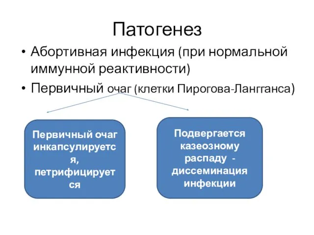 Патогенез Абортивная инфекция (при нормальной иммунной реактивности) Первичный очаг (клетки