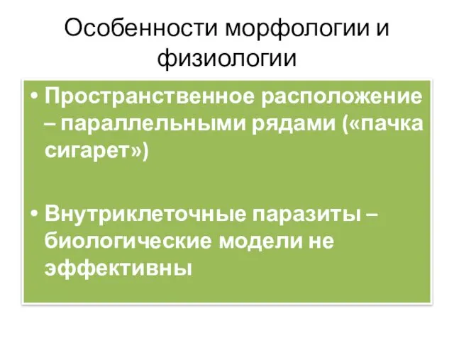 Особенности морфологии и физиологии Пространственное расположение – параллельными рядами («пачка