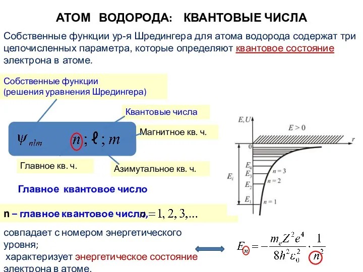 Собственные функции ур-я Шредингера для атома водорода содержат три целочисленных