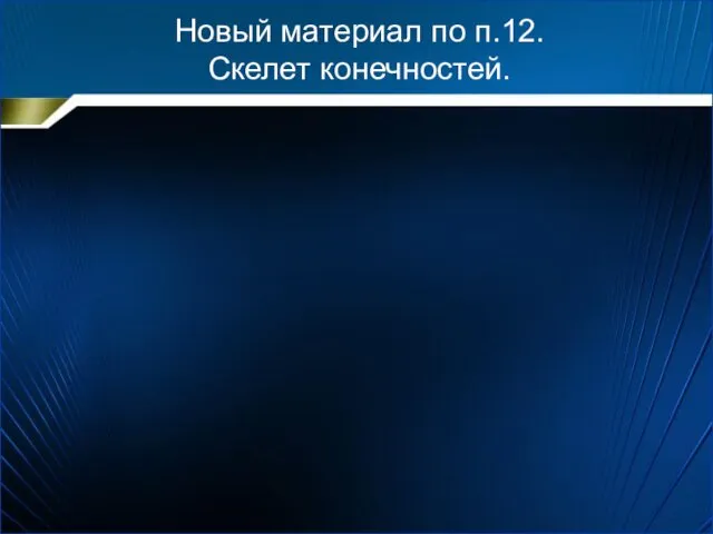 Новый материал по п.12. Скелет конечностей.