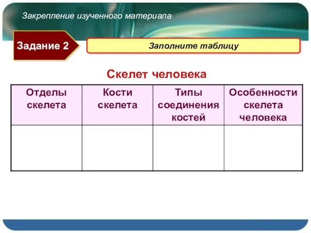 Закрепление изученного материала Задание 2 Заполните таблицу Скелет человека