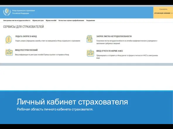 Личный кабинет страхователя Рабочая область личного кабинета страхователя.