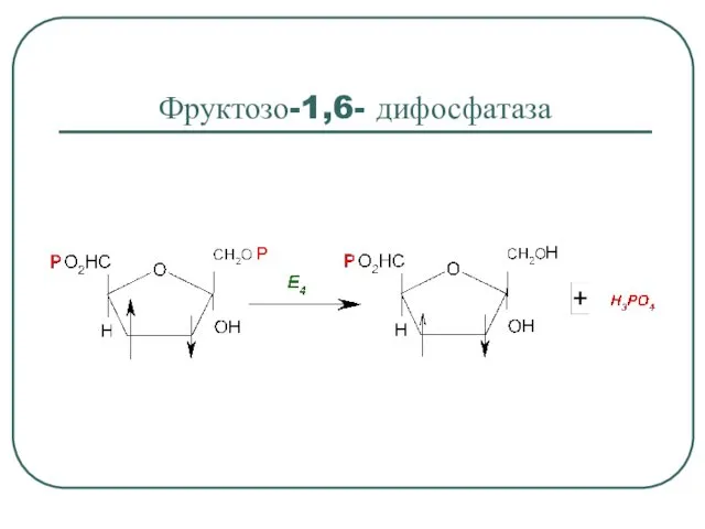 Фруктозо-1,6- дифосфатаза