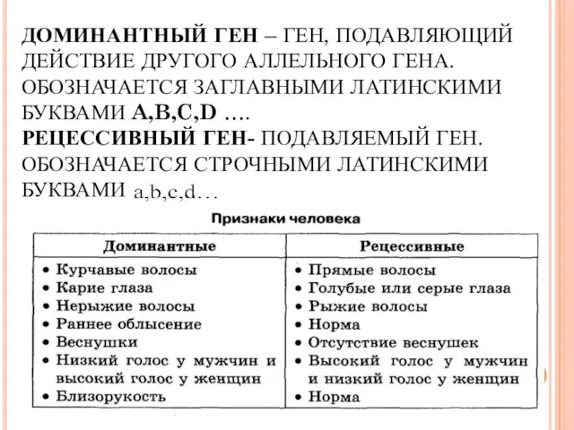 ДОМИНАНТНЫЙ ГЕН – ГЕН, ПОДАВЛЯЮЩИЙ ДЕЙСТВИЕ ДРУГОГО АЛЛЕЛЬНОГО ГЕНА. ОБОЗНАЧАЕТСЯ