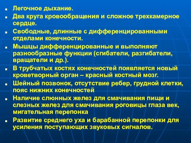 Легочное дыхание. Два круга кровообращения и сложное трехкамерное сердце. Свободные,