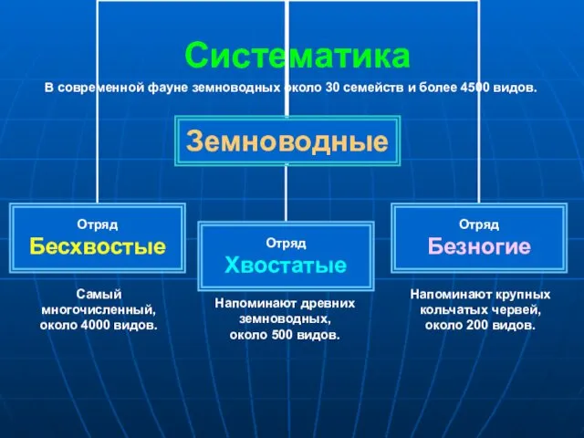 Систематика В современной фауне земноводных около 30 семейств и более