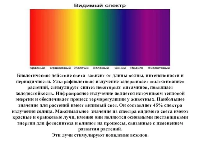 Биологическое действие света зависит от длины волны, интенсивности и периодичности.