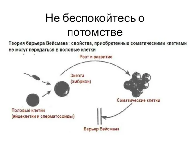 Не беспокойтесь о потомстве