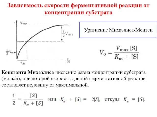 Зависимость скорости ферментативной реакции от концентрации субстрата Уравнение Михаэлиса-Ментен Константа