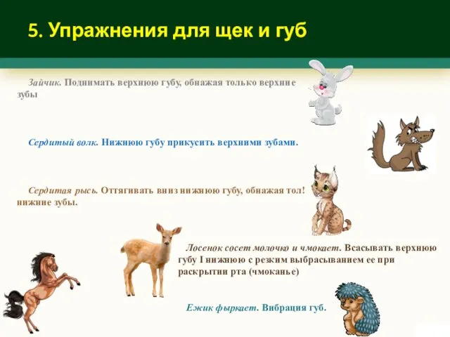 5. Упражнения для щек и губ Зайчик. Поднимать верхнюю губу,