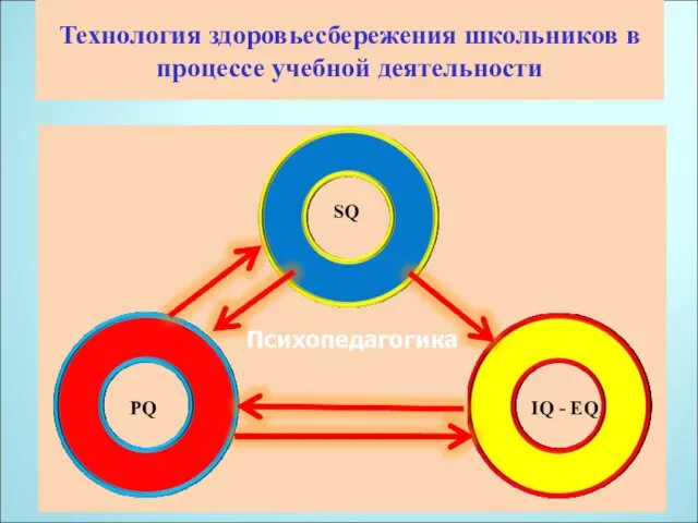 Технология здоровьесбережения школьников в процессе учебной деятельности Психопедагогика SQ PQ IQ - EQ