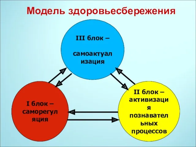 Модель здоровьесбережения I блок – саморегуляция III блок – самоактуализация II блок – активизация познавательных процессов