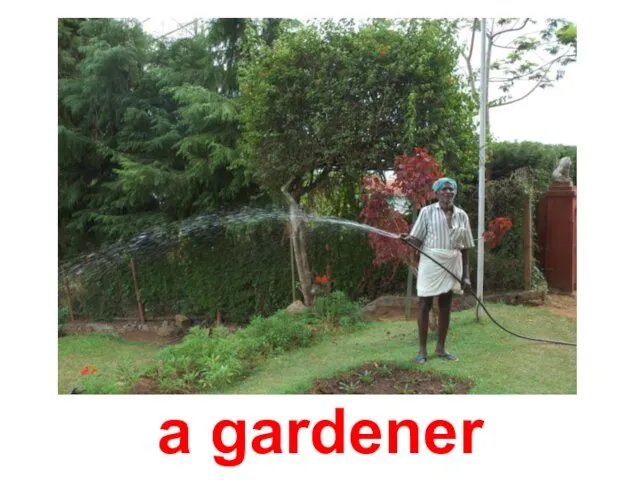 a gardener