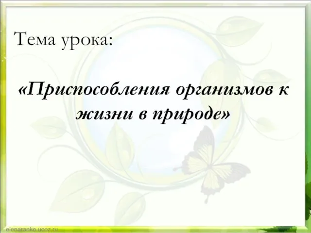 Тема урока: «Приспособления организмов к жизни в природе»