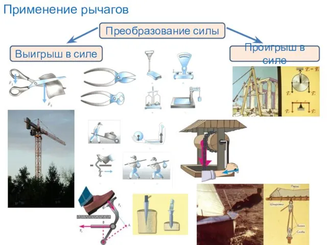 Применение рычагов Преобразование силы Выигрыш в силе Проигрыш в силе