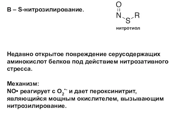 В – S-нитрозилирование. Недавно открытое повреждение серусодержащих аминокислот белков под