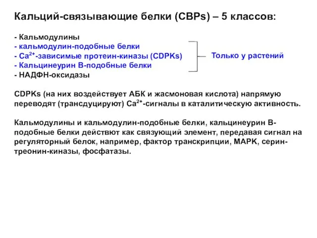 Кальций-связывающие белки (CBPs) – 5 классов: - Кальмодулины - кальмодулин-подобные
