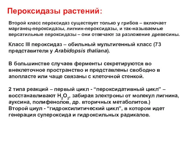 Пероксидазы растений: Второй класс пероксидаз существует только у грибов –