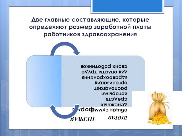 Две главные составляющие, которые определяют размер заработной платы работников здравоохранения