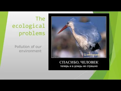 The ecological problems. Pollution of our environment