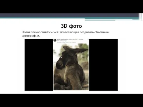 3D фото Новая технология Facebook, позволяющая создавать объемные фотографии.