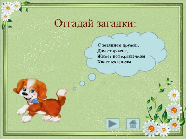 Отгадай загадки: С хозяином дружит, Дом сторожит, Живет под крылечком Хвост колечком