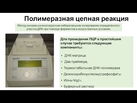 Полимеразная цепная реакция Для проведения ПЦР в простейшем случае требуются