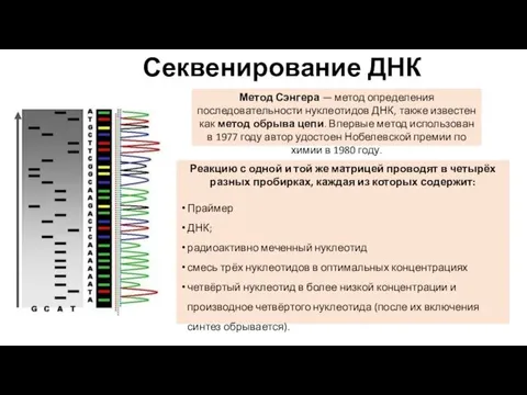 Секвенирование ДНК Метод Сэнгера — метод определения последовательности нуклеотидов ДНК,