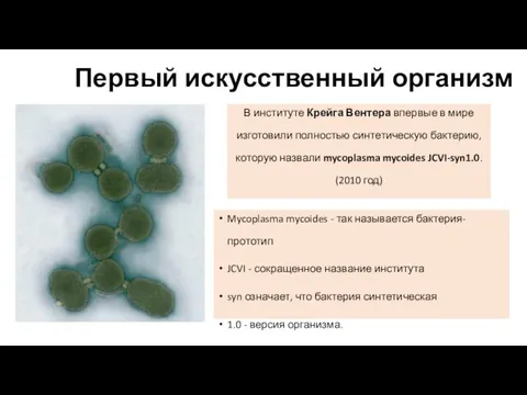 Первый искусственный организм Mycoplasma mycoides - так называется бактерия-прототип JCVI